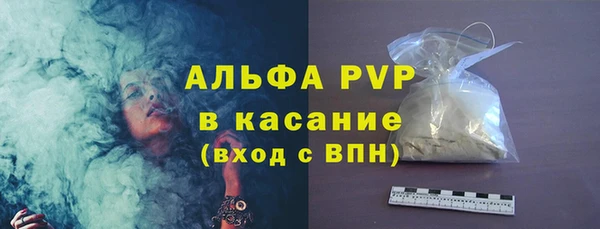 хмурый Бородино