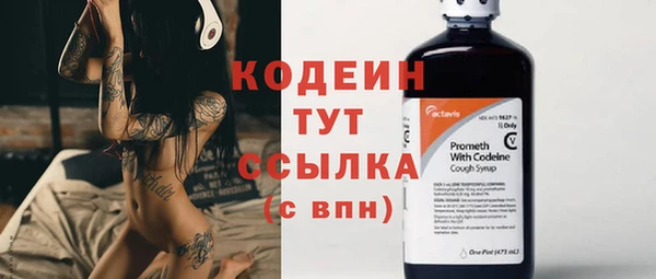 хмурый Бородино