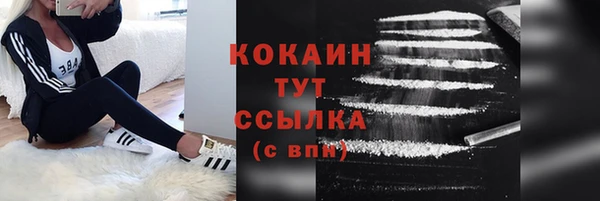 хмурый Бородино