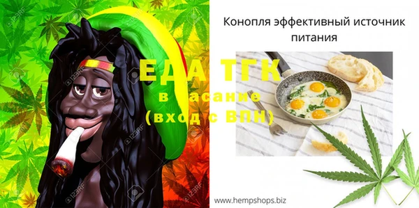 хмурый Бородино