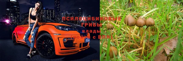 хмурый Бородино