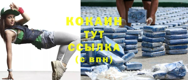 хмурый Бородино