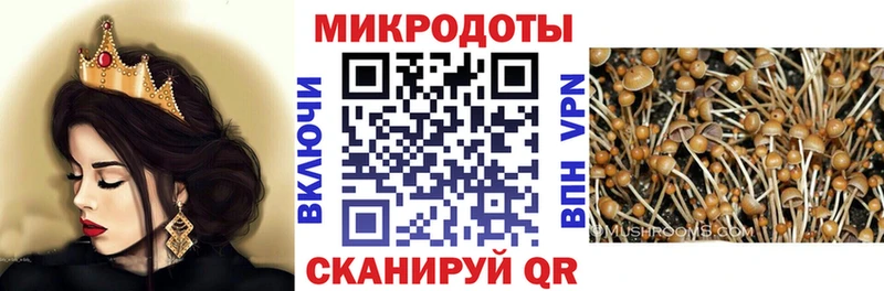 продажа наркотиков  Гремячинск  Галлюциногенные грибы Psilocybine cubensis 